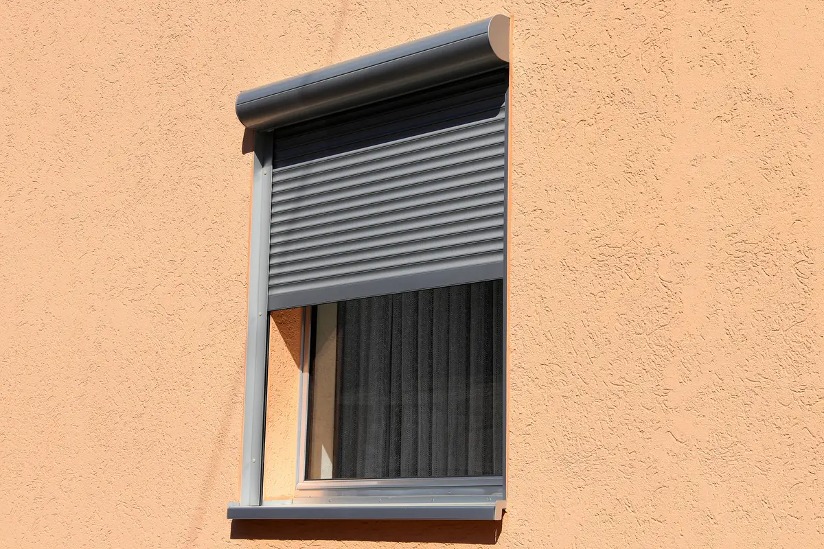 Immagine selezionata