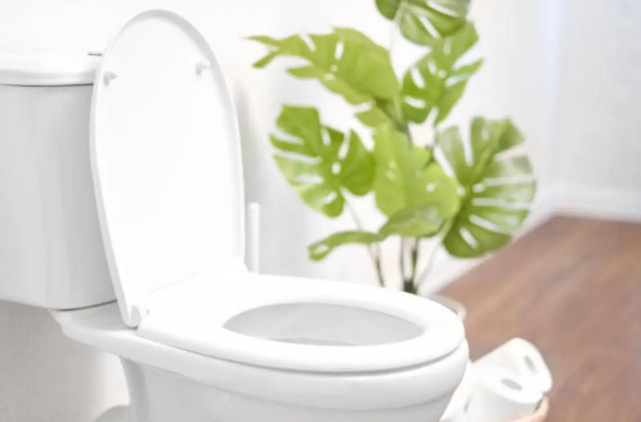 Immagine selezionata