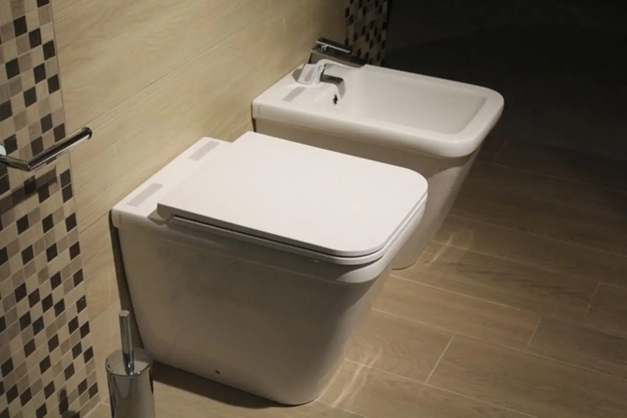 Immagine selezionata
