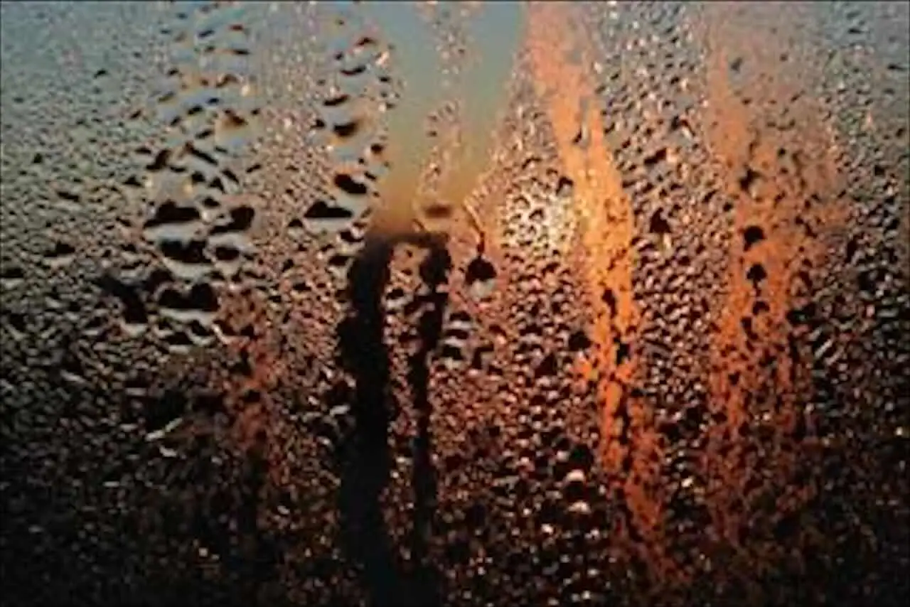 Immagine selezionata
