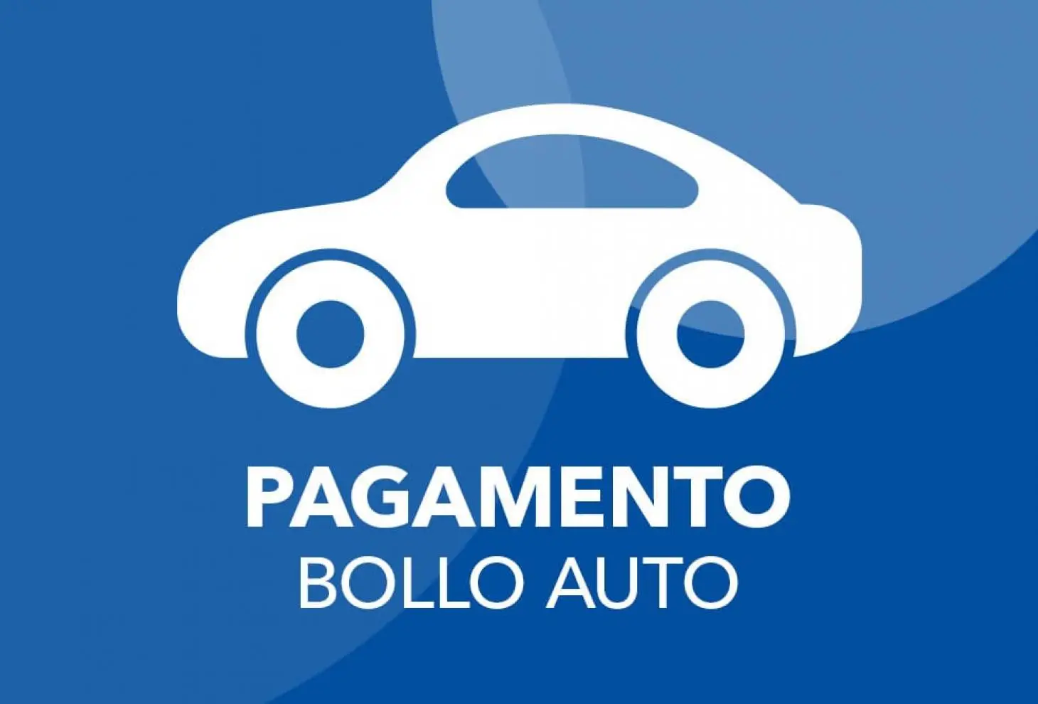 Immagine selezionata